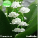 Themes Nokia