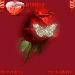 Themes Nokia